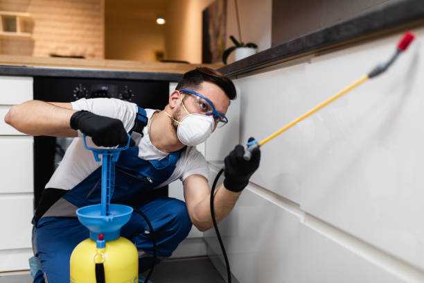 Best Residential Pest Control  in Chapman, KS