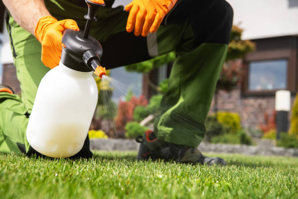Best Commercial Pest Control Services  in Chapman, KS