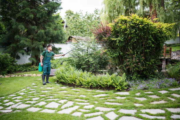 Best Pest Control Treatment  in Chapman, KS