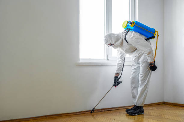 Best Affordable Pest Control Services  in Chapman, KS