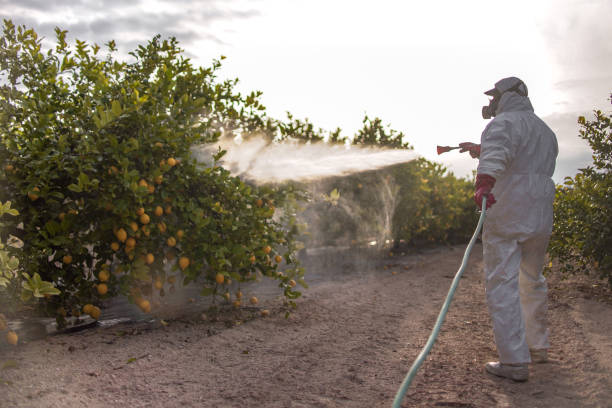 Best Pest Control for Businesses  in Chapman, KS