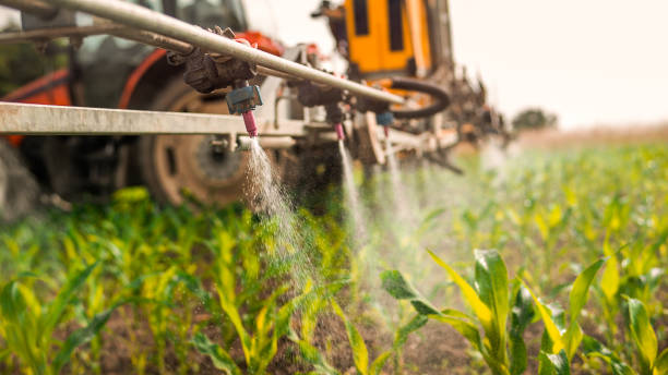 Best Best Pest Control Companies  in Chapman, KS