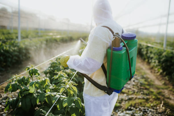 Best Pest Control Near Me  in Chapman, KS
